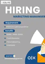Looking for a marketing manager