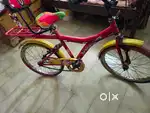Atlas Koala Bear Cycle