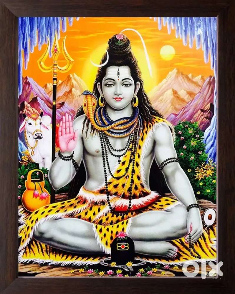 কৃষ্ণনগর শহরে বাড়ি ভাড়া চাই