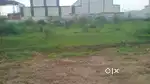15000 ft plot maswad