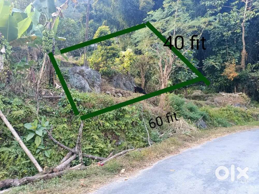 General land for sale at Burung, Sangkhola, East Sikkim
