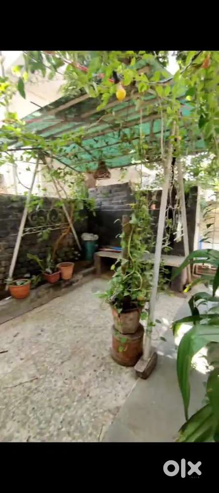 PALDI Bachelor Allowed 2BHK Semi Furnished Flat For Rent In PALDI