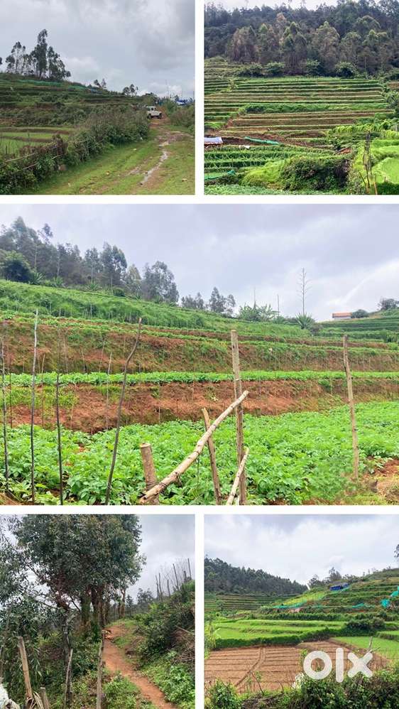 Pond view step farm land @ Kadavari Pass, Kilavarai