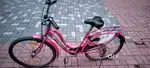 Lady bird bycle and avon cycle