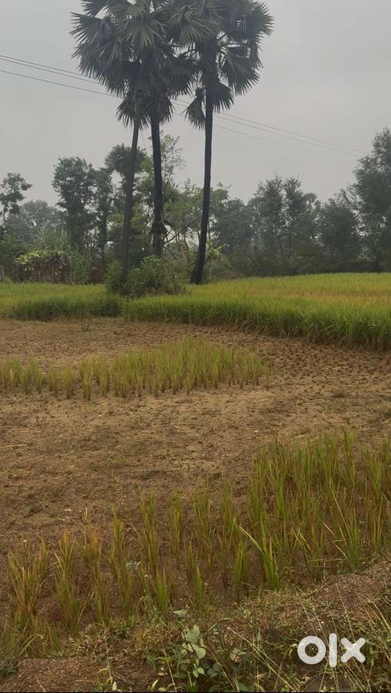 Barahat station se 1 km