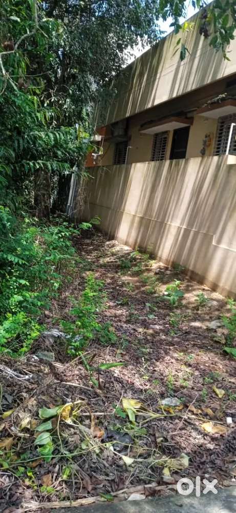 Repur House site