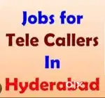 Female telecaller cum data entry staff required