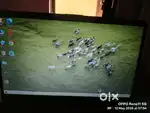 Urgent sell Laptop HP