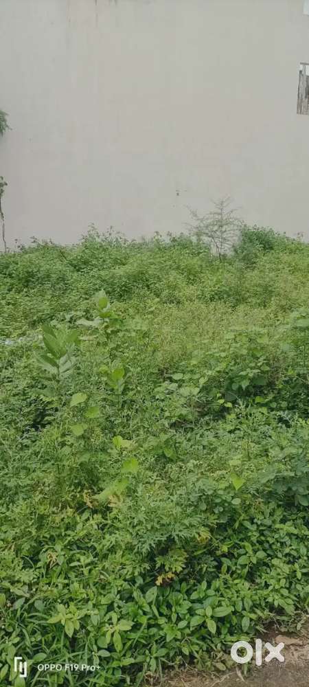 1200sqft polot for sale Danish kunj Dk,-3 Kolar road