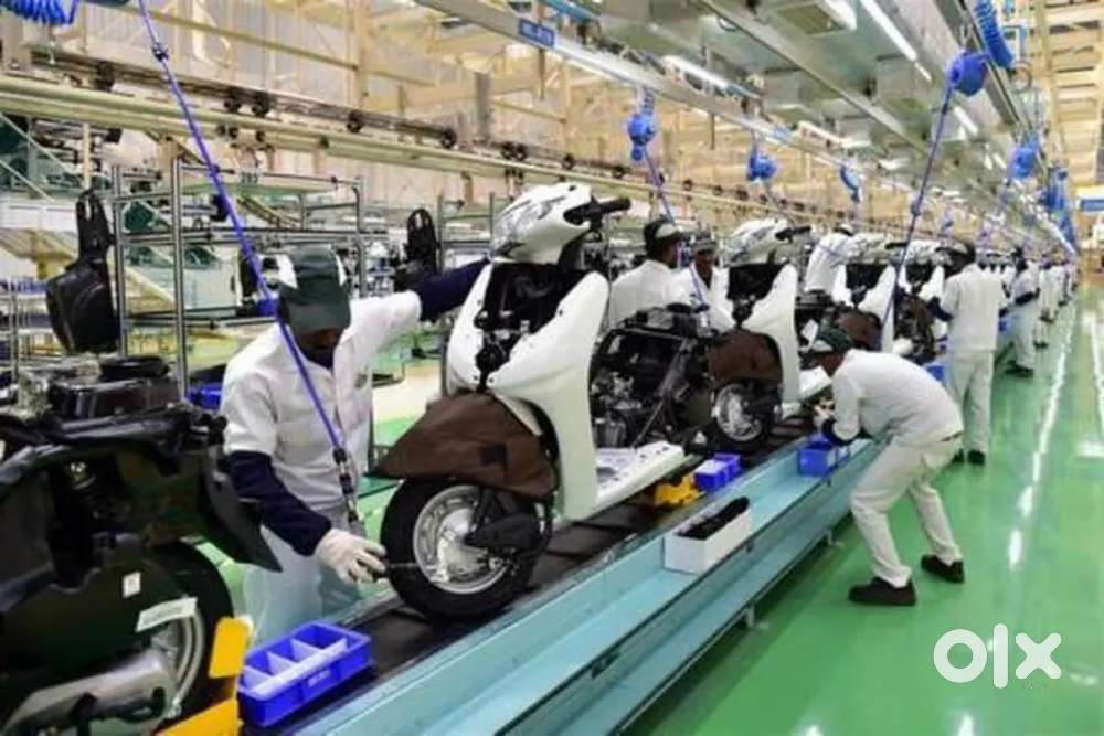 Were hiring freshers for job