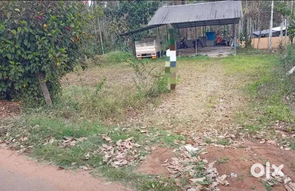 പുൽപ്പള്ളിയിൽ 30 സെൻ്റ് സ്ഥലവും ഷെഡും 12 ലക്ഷം രൂപയ്ക്ക്