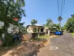 22 cents residential plot in Koratty