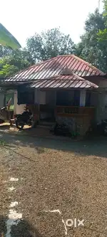 3BHK,800Sq,10 Cent,trikarioor,kothamangalam, 10 Lakh,well water