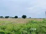Prime Land for sale - Kodangipatti