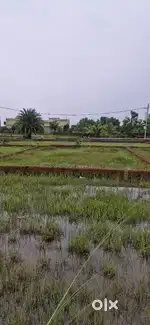 Plot for sale