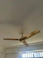 Fan - ceiling