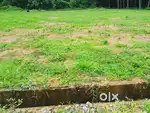 Residential plots available for sale in Ezhakkarnadu, Near Thiruvaniyo