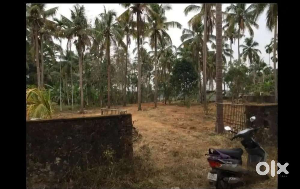 44 cent urgent plot near,ആനന്ദപുരം മഹാവിഷ്ണു ക്ഷേത്രം.