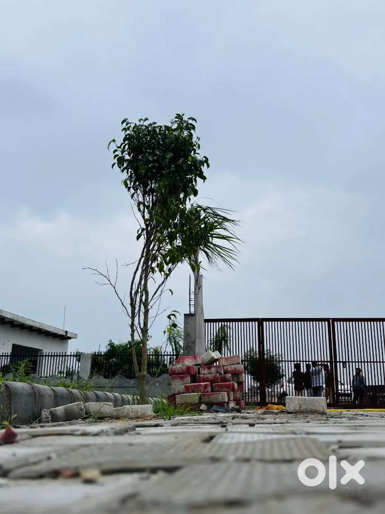 Prime Location Plots Near Tilapta Chowk  Gated Colony  Ready to Move