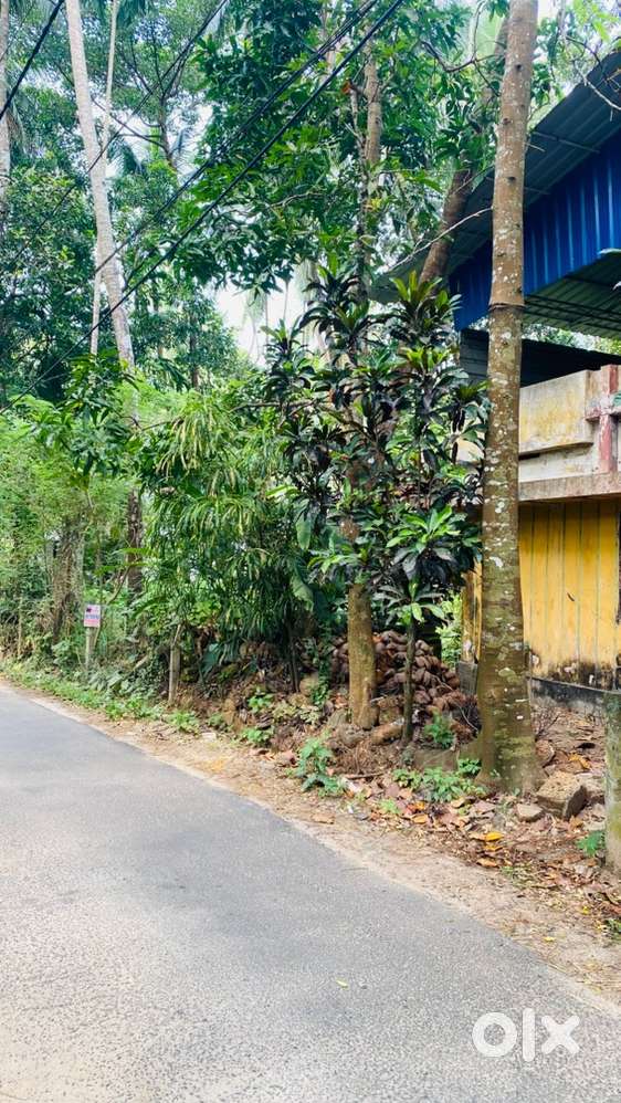 20 Cent Land for Sale Near Guruvayur Temple – Best Price!