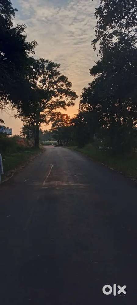 Required 2 room mates