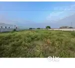 Land for Rent