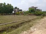 5 Decimal Land for sale in Samalpur,balia,Balasore