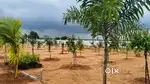ORR EXIST NO. 8 Farm villa plots at keesara