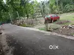 25 Cent Residential rectangular plot for sale in Karungappally