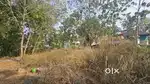 Residential Plot for Sale in Karukutty