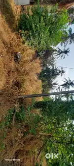 House plot close to main road 8 L per cent