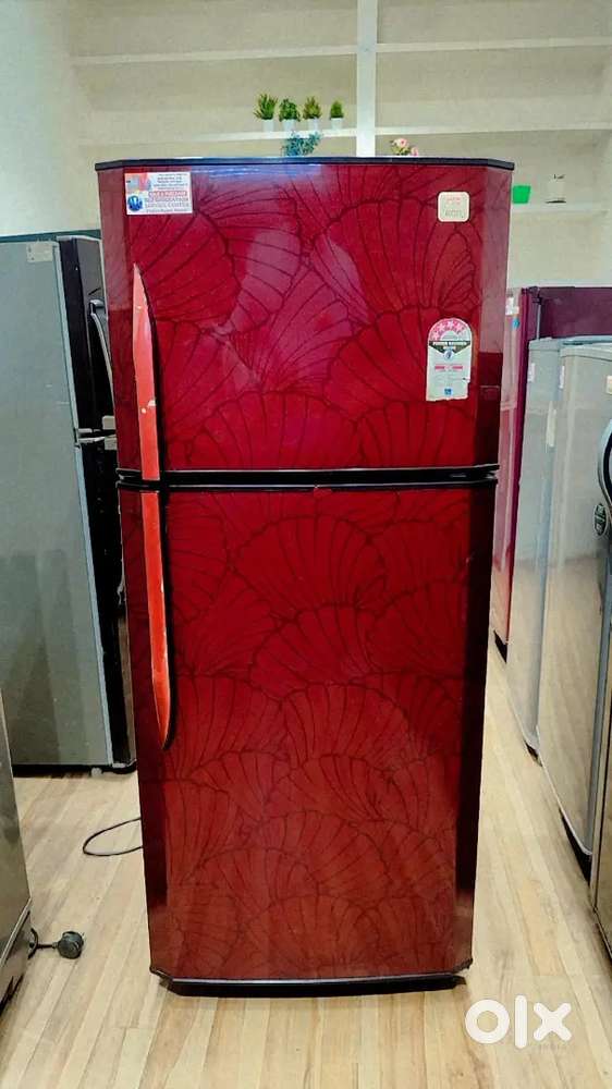 Godrej 231 L 2 Star Frost-Free Double Door Refrigerator Free Delivery