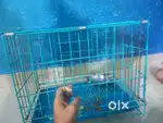 24 bird cage only rs 2500/-
