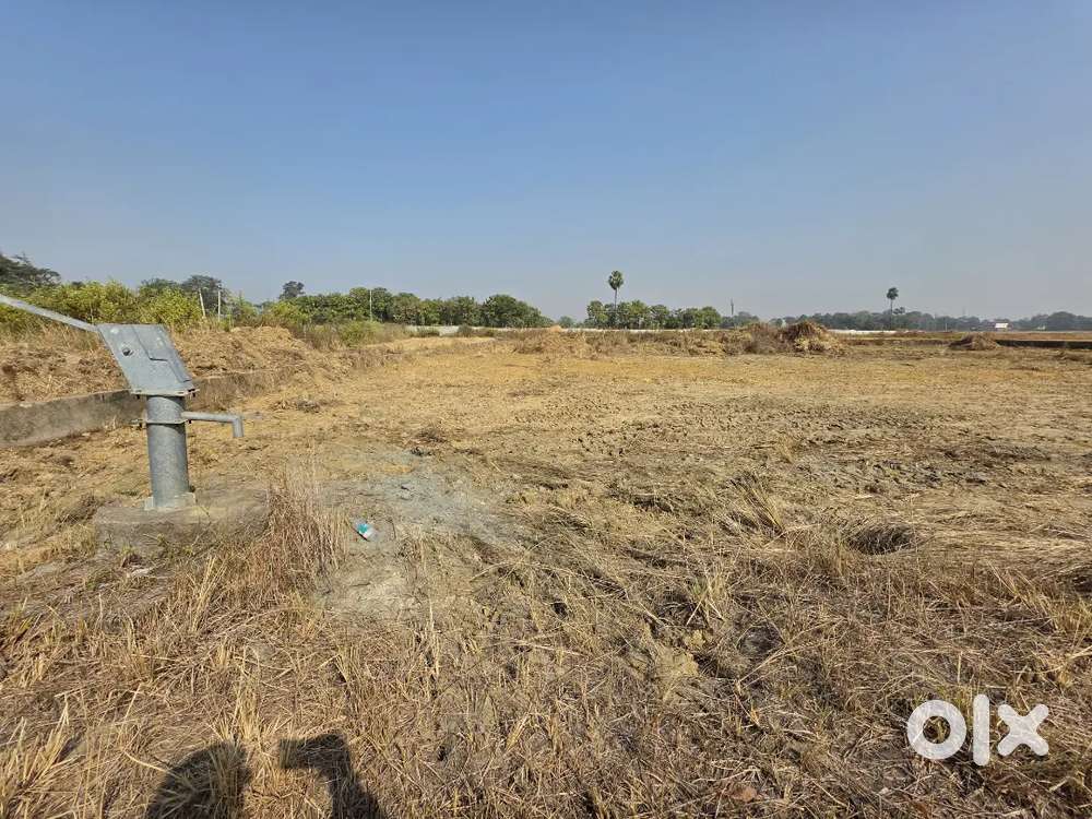 54 Dismil Land for Lease in Dhanupali