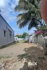 Vellore dist Anaicut near Gandhi road flat for sale