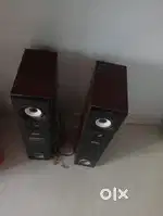 Amplifier spekers