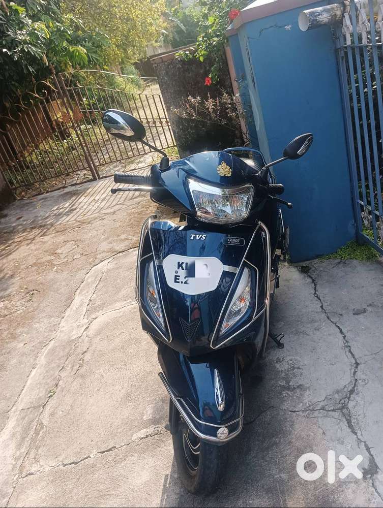 Jupiter Grande 2019