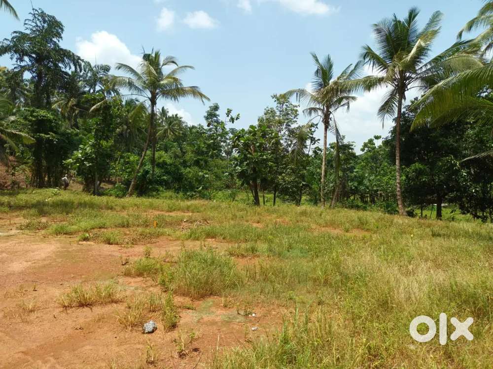 കല്ലടിക്കോട് 11 സെൻറ് ഹൗസ് പ്ലോട്ട് വില്പനയ്ക്ക് / House Plot For Sale