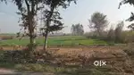Plot on Highway