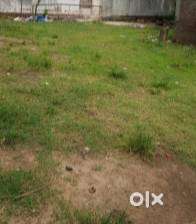 Urgent dharoor house plot for sale
