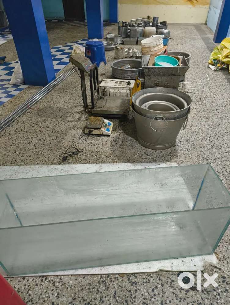 Any All Items Half Rate Restaurant ItemsAvailable CashCounter Aquarium