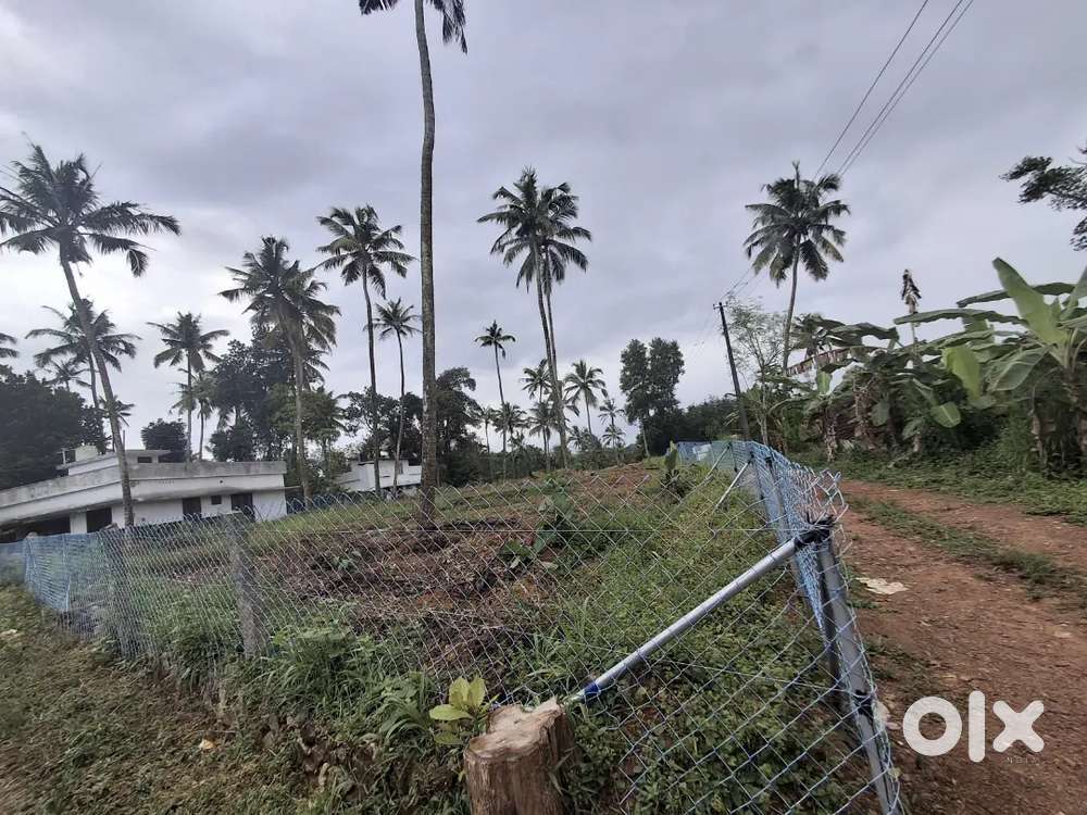 Housing/Commercial Plot for sale