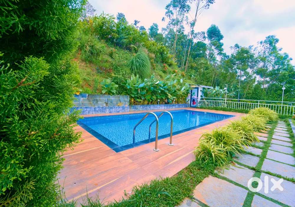 Office & Sales Assistant ( preferably ladies)