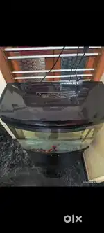 Fish tank with curved glasses