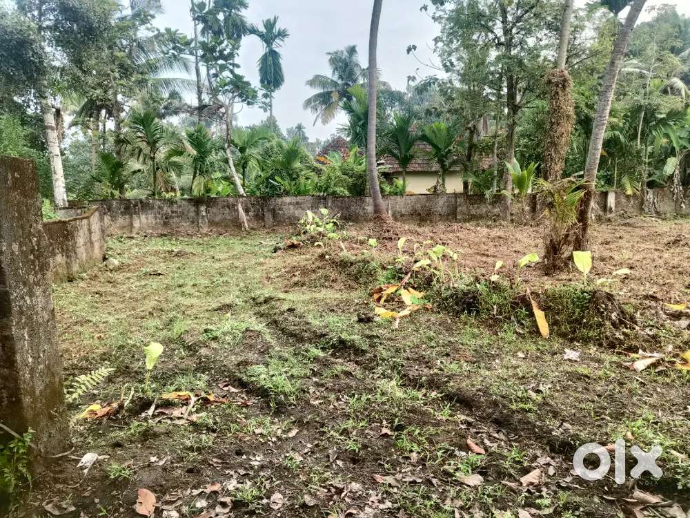 42 Cents Land for Sale @ Malikapeedika as whole land or into plots