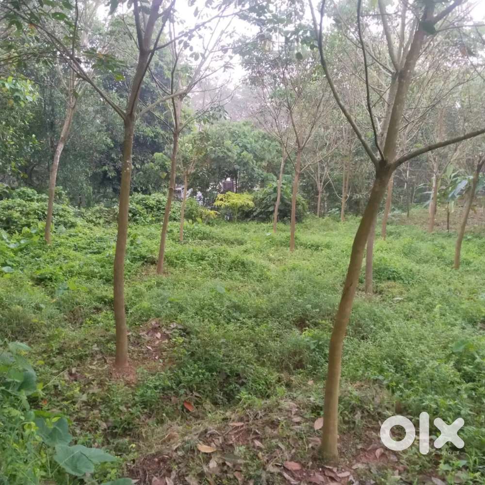 9 cent Plot for sale