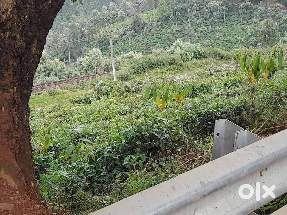 30 Cents Agriculture Land for Sale near Coonoor