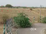 40 Bigha Jamin Ora mauja maudaha hamirpur u.p.