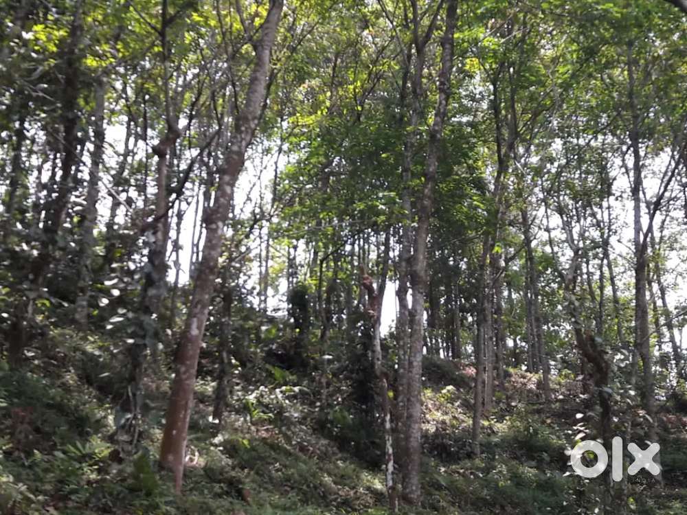 For the lease of 6 acres of land.