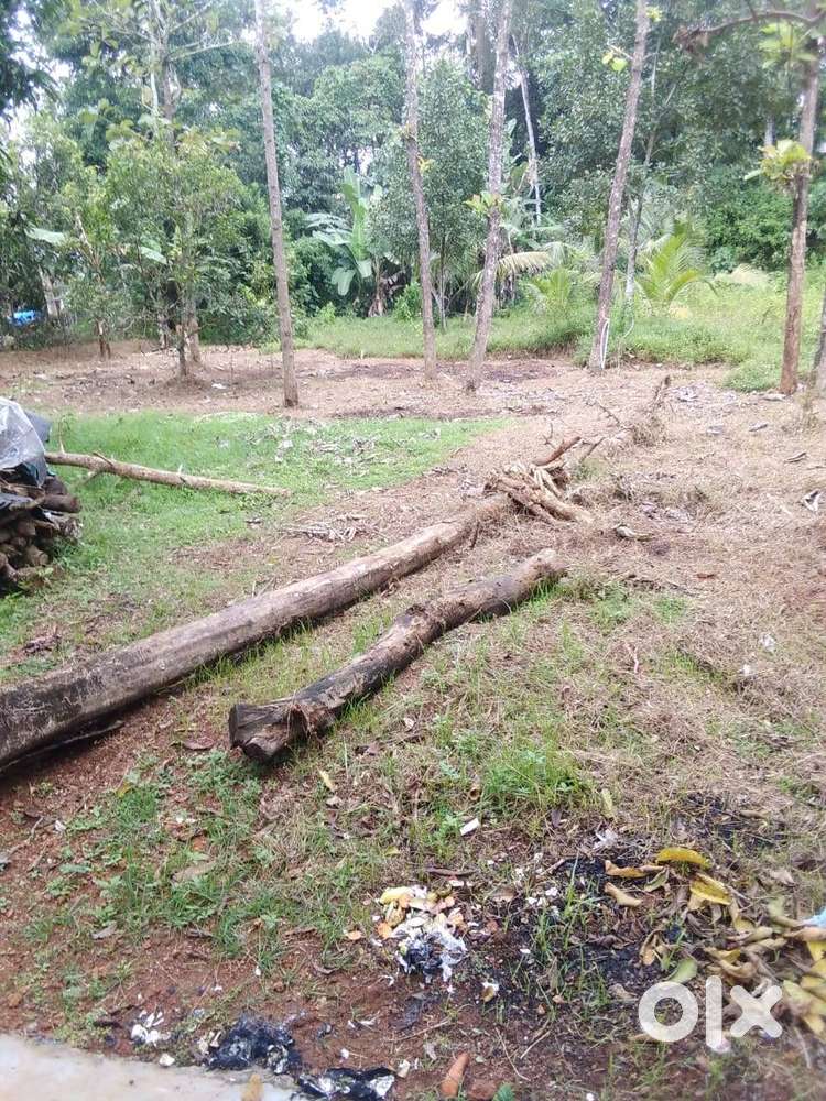 Residential Land for Sale